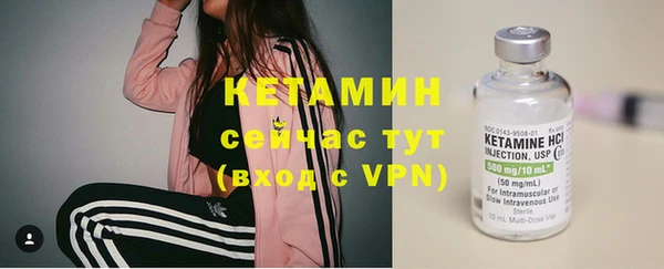 a pvp Бородино