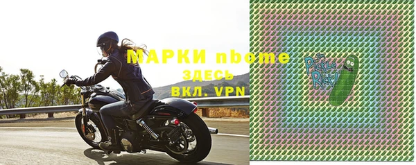 a pvp Бородино