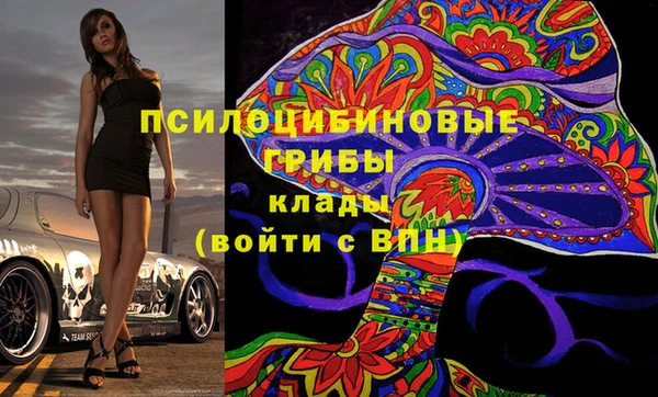a pvp Бородино